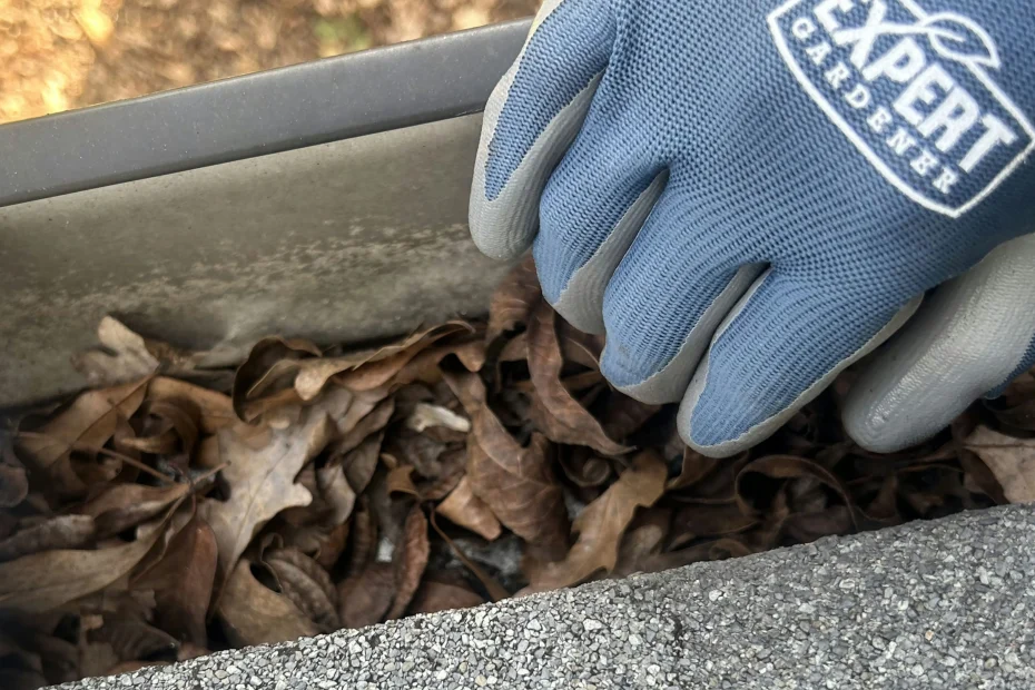 Gutter Cleaning Marrero